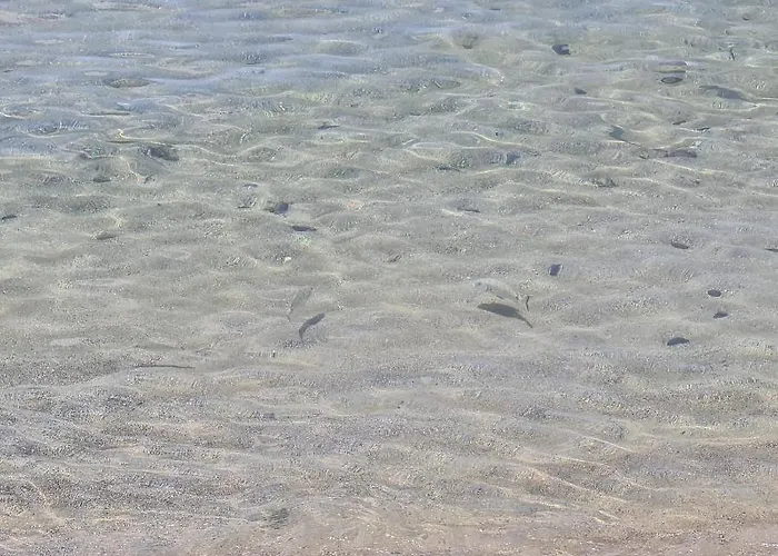 아파트 Playa Chica